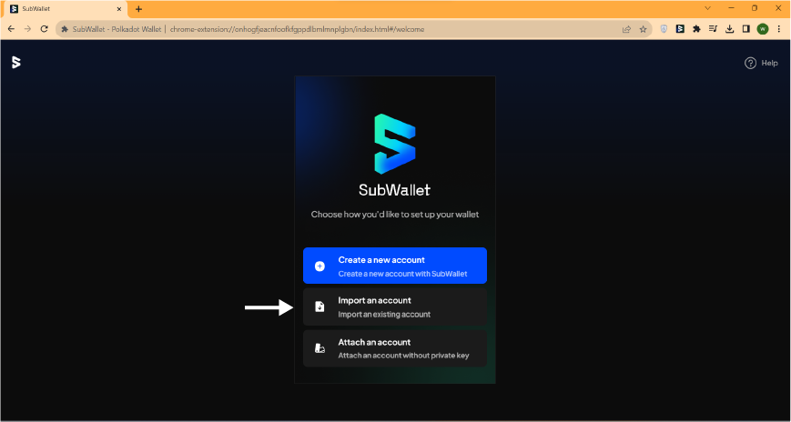 SubWallet browser extension home screen
